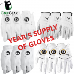 YEARS SUPPLY OF GLOVES
