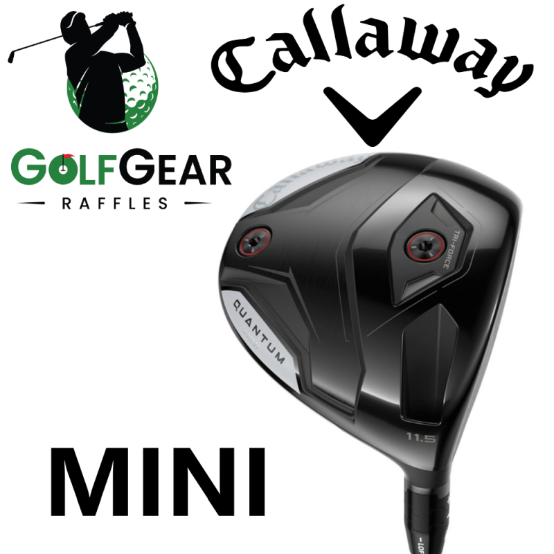 QUANTUM MINI DRIVER