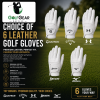 YOUR CHOICE OF 6 GOLF GLOVES