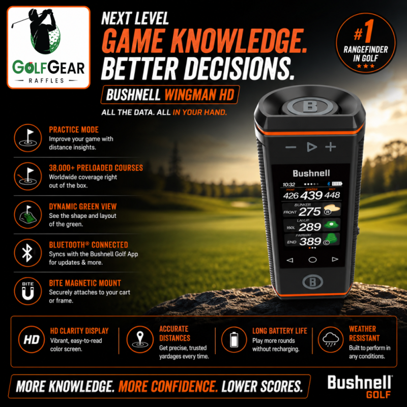 WINGMAN HD GPS SPEAKER